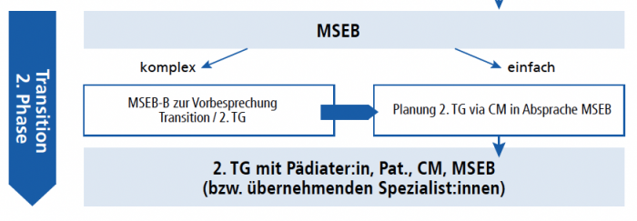 MSEB – eine Schweizer Lösung